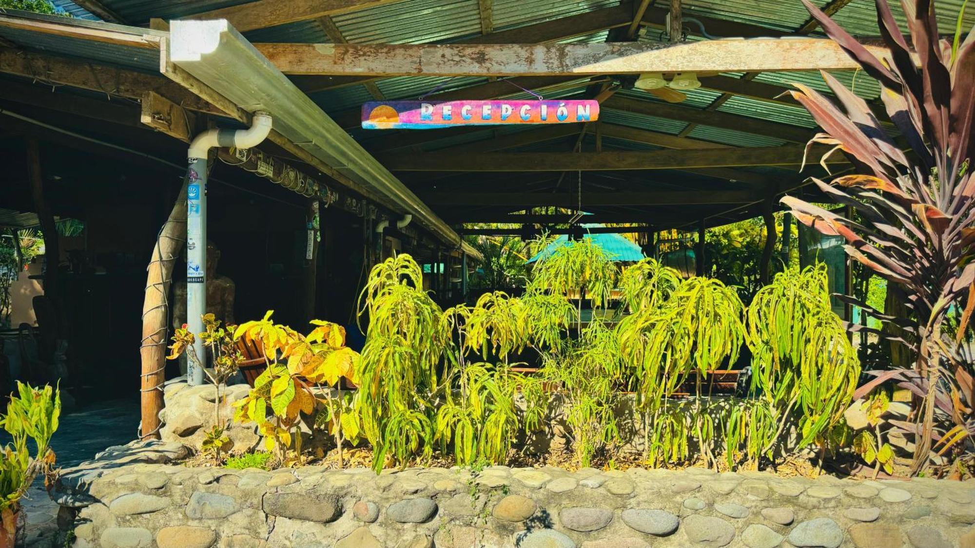 Mal Pais Surf Camp Hotel Playa Santa Teresa  Buitenkant foto