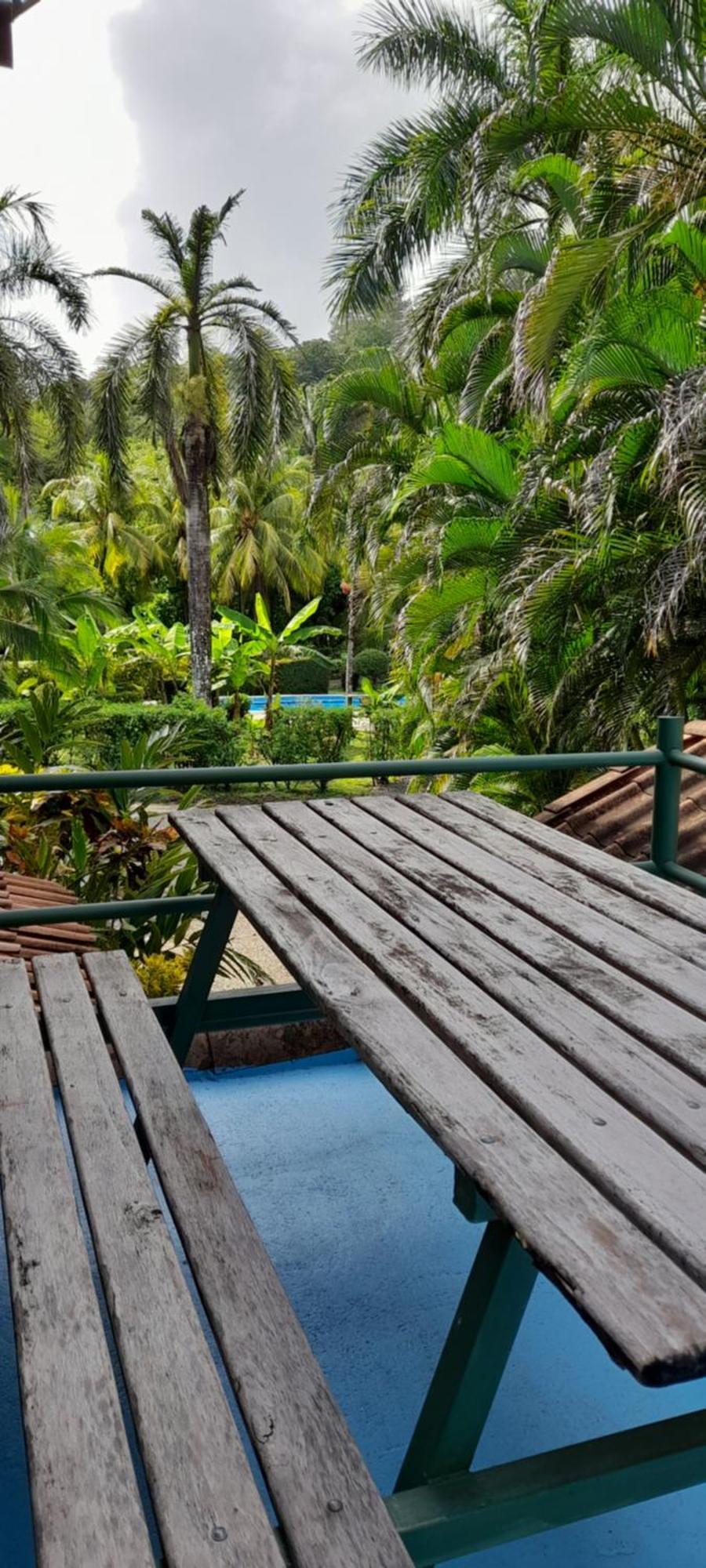 Mal Pais Surf Camp Hotel Playa Santa Teresa  Buitenkant foto