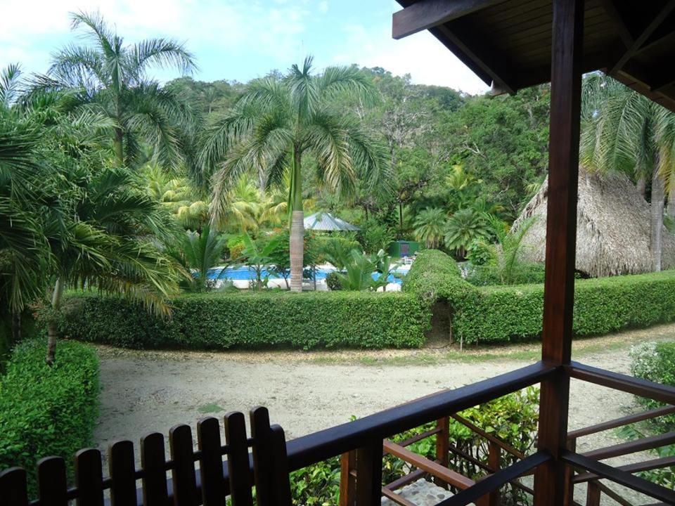 Mal Pais Surf Camp Hotel Playa Santa Teresa  Buitenkant foto