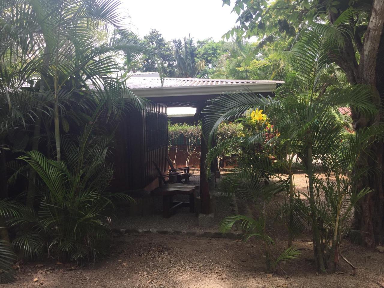 Mal Pais Surf Camp Hotel Playa Santa Teresa  Buitenkant foto